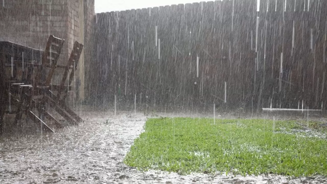 Meteoroloji’den uyarı: Birçok bölgede sağanak, sis ve pus etkili olacak 12