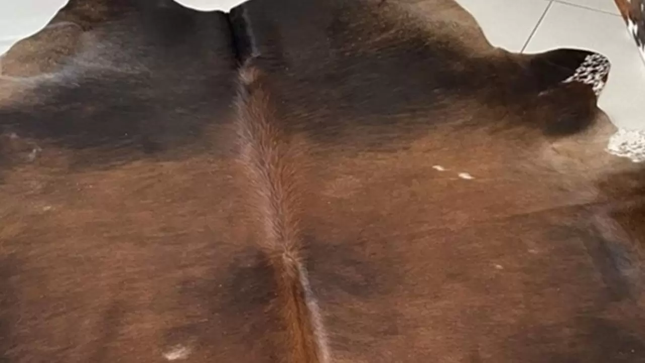 Cezaevinden büyük satış: Bin 750 ton sakatat ve tonlarca deri ihaleye çıkıyor! 4