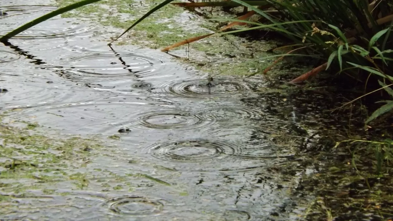 Meteoroloji’den sürpriz uyarı! Bu şehirlerde sağanak ve sis alarmı: Sıcaklıklar mevsim normallerinin üzerine çıkıyor! 11