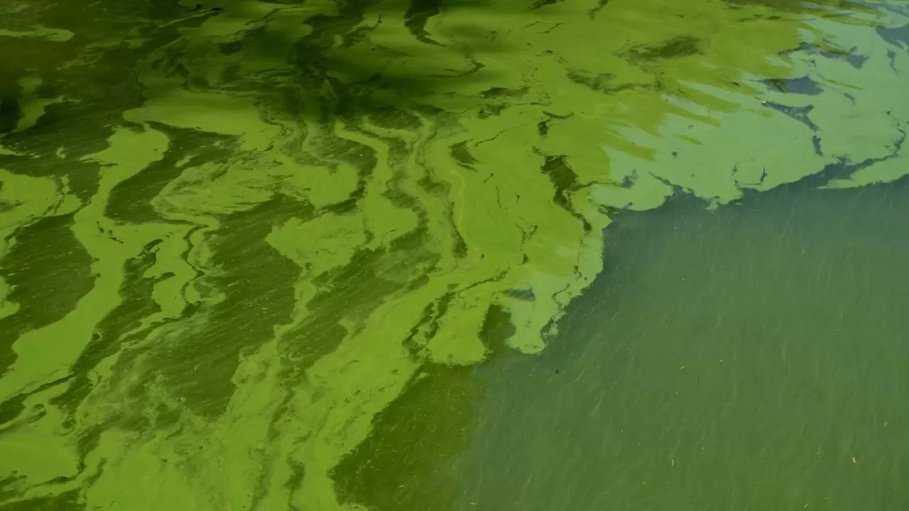 Doğaseverler Karacaören 2 Baraj Gölü'nü tekneyle geziyor 6