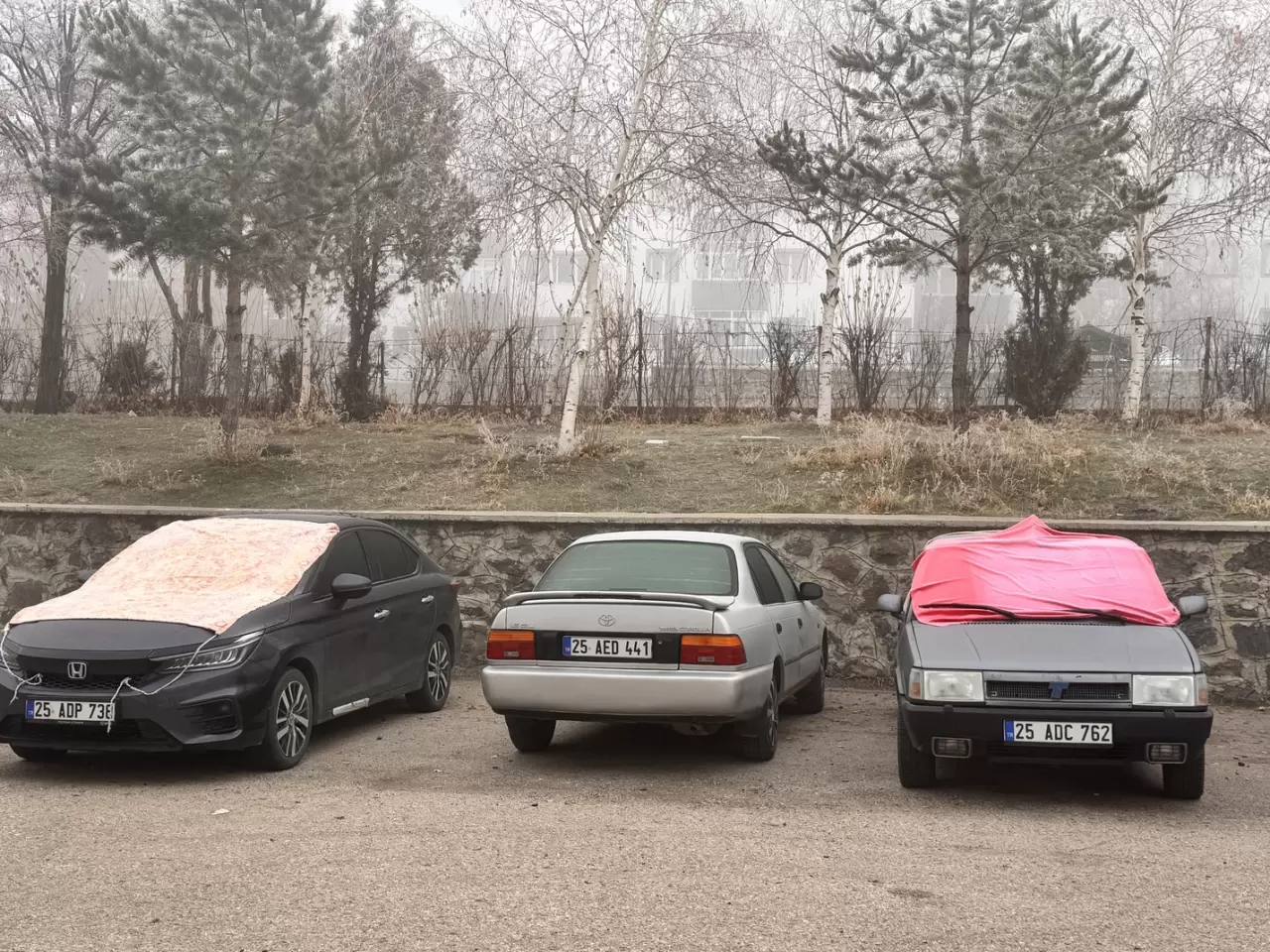 Erzurum ile Ardahan'da sis ve soğuk hava etkili oldu 1