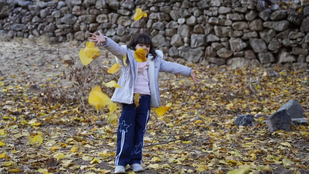 Havraman sonbahar renklerine büründü 9