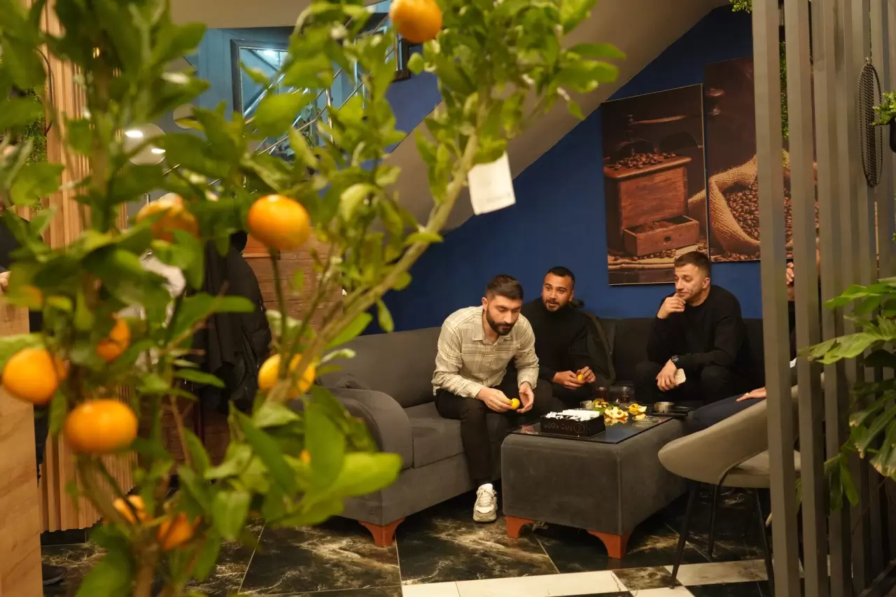 Kafe'de yetiştirilen mandalina ağaçları, müşterileri büyülüyor! 7