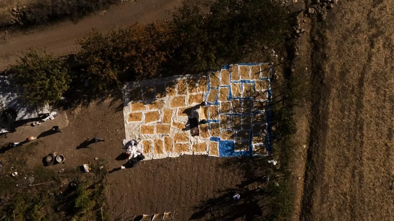 Mardin’de bağ bozumu geleneği sürüyor 2
