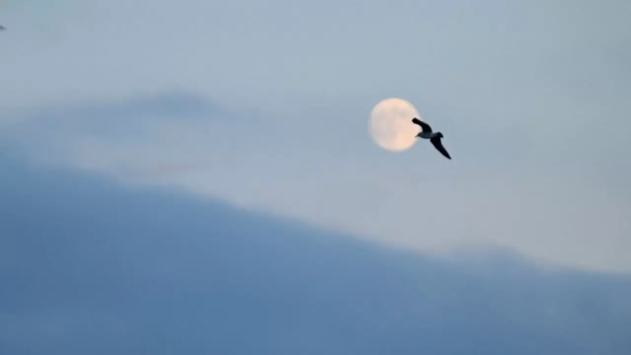 İstanbul gecesi Dolunayla büyülendi! 1