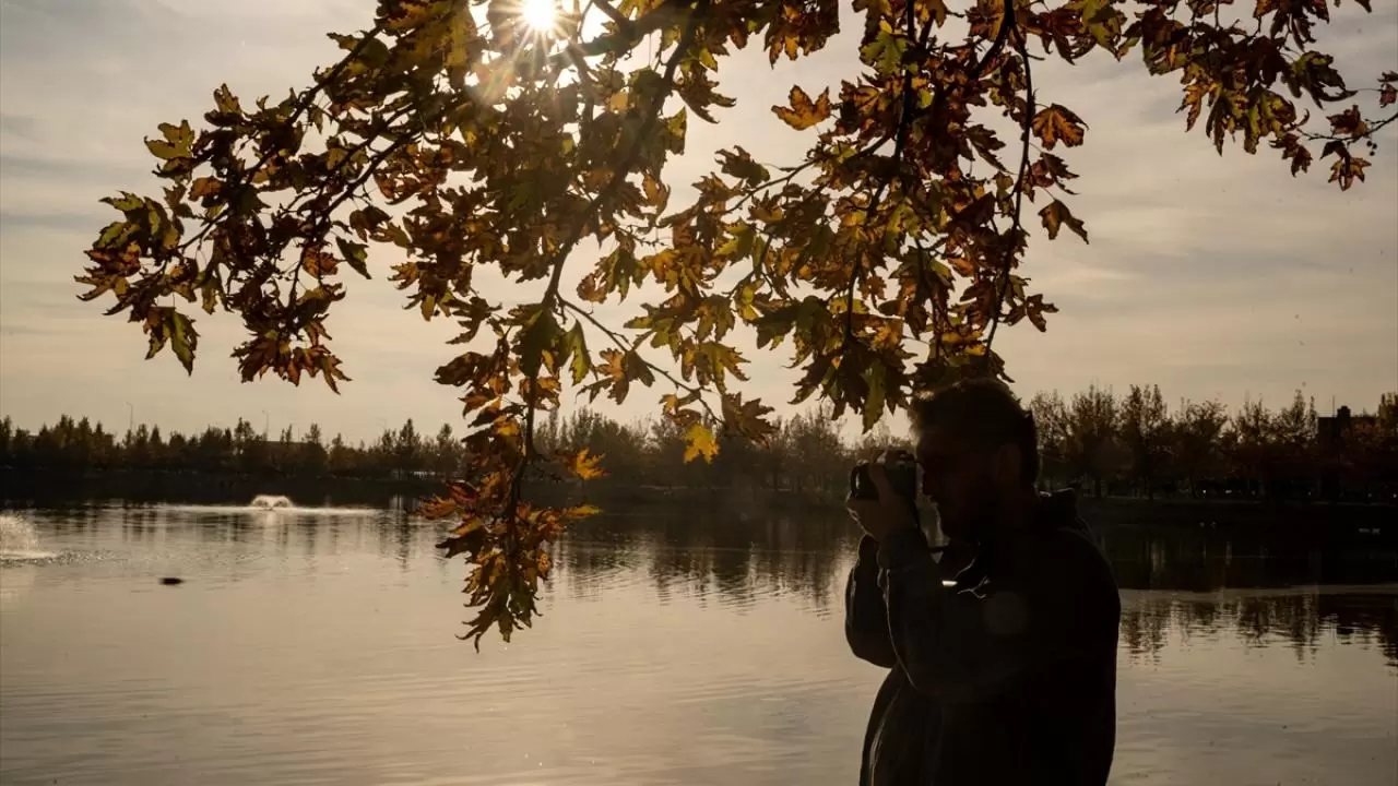 Seğmenler Parkı'nın sevimli sakinleri 1