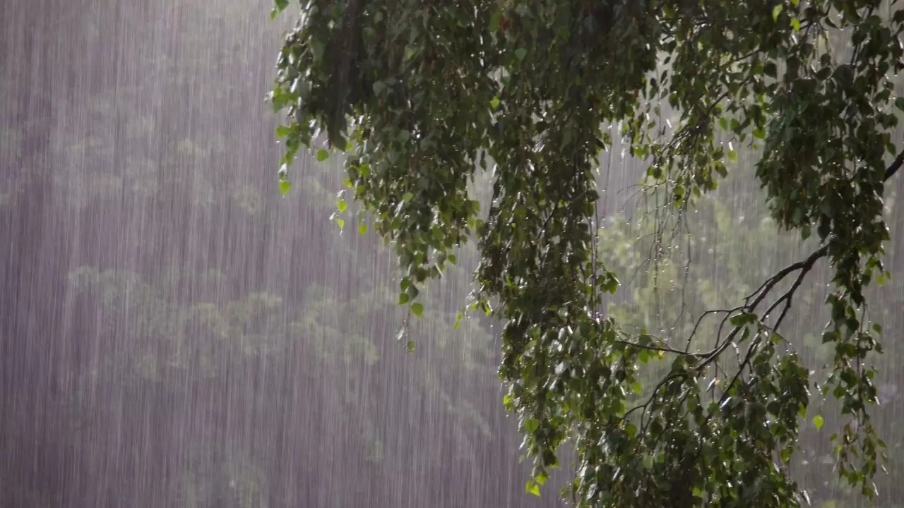 Meteoroloji’den uyarı: Birçok bölgede sağanak, sis ve pus etkili olacak 11