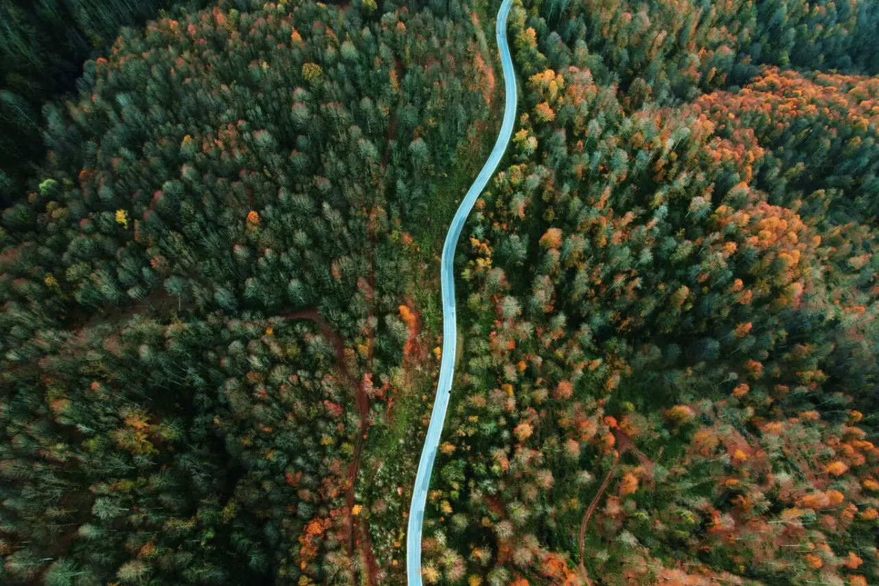 Sonbaharda Çam Dağı'nda renk cümbüşü: Doğanın görsel şöleni 4