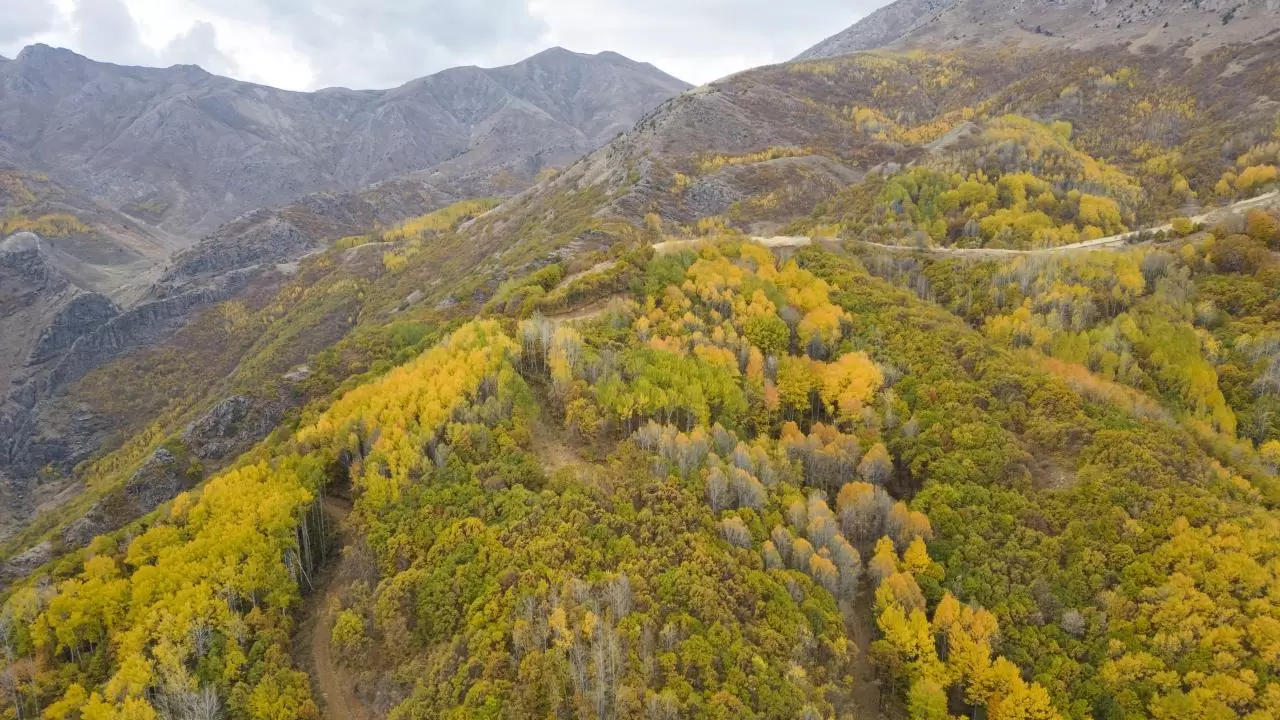 Tunceli'nin gizli cenneti: Salördek Ormanları 5