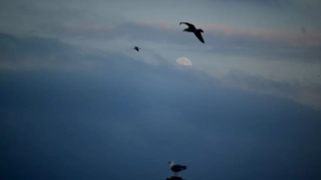 İstanbul gecesi Dolunayla büyülendi! 3