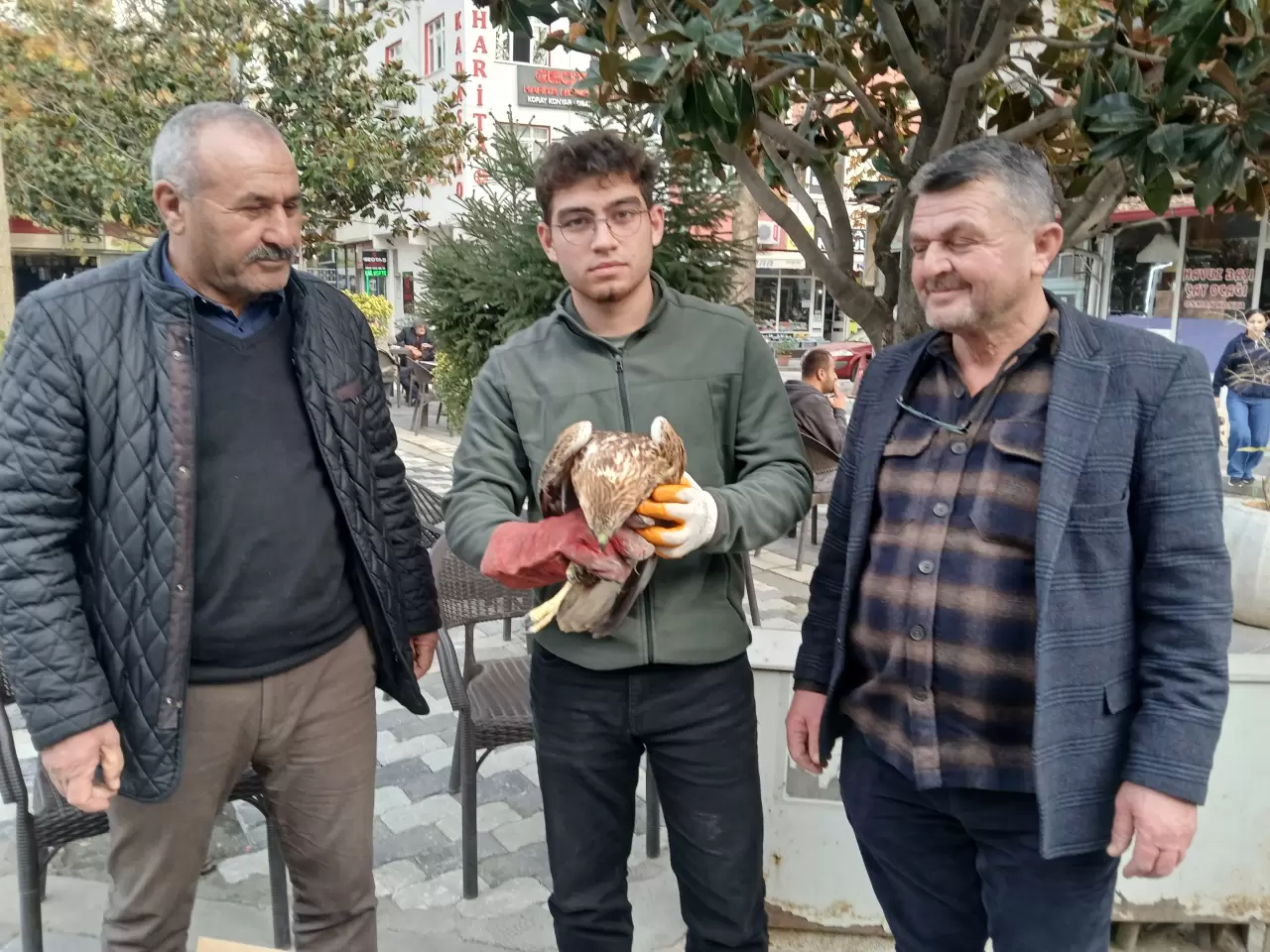 Amasya'da yaralı bulundu! 3