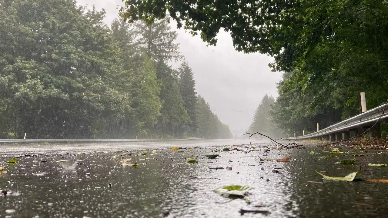 Meteoroloji’den kritik uyarı! 16 ilde kuvvetli yağış ve kar bekleniyor: İşte il il hava durumu 6