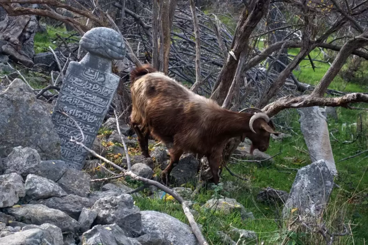 Komşuda ''Osmanlı'' hazımsızlığı! 2