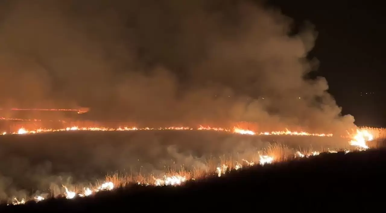 Kuş cenneti Nehil Sazlığı'nda yangın! 7