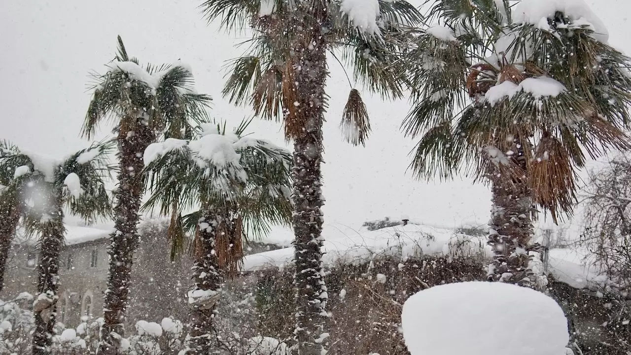 Meteoroloji’den kritik uyarı! 16 ilde kuvvetli yağış ve kar bekleniyor: İşte il il hava durumu 7