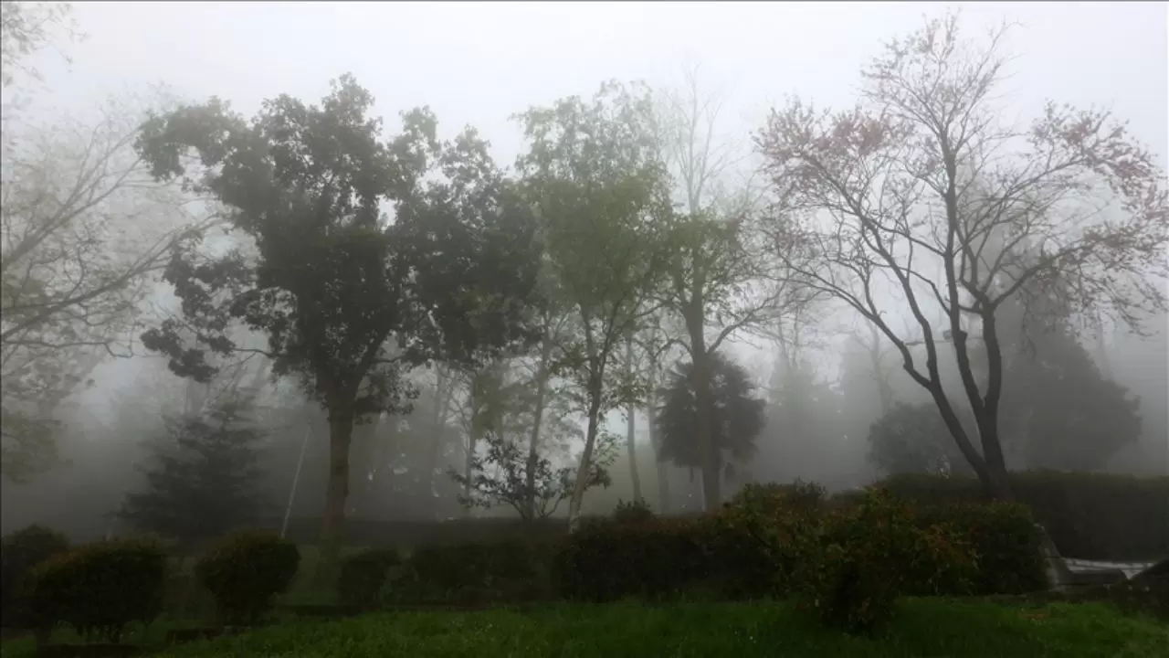 Meteoroloji uyardı: Kuvvetli rüzgar, sis ve yağış geliyor! İşte bölge bölge Hava Durumu 6