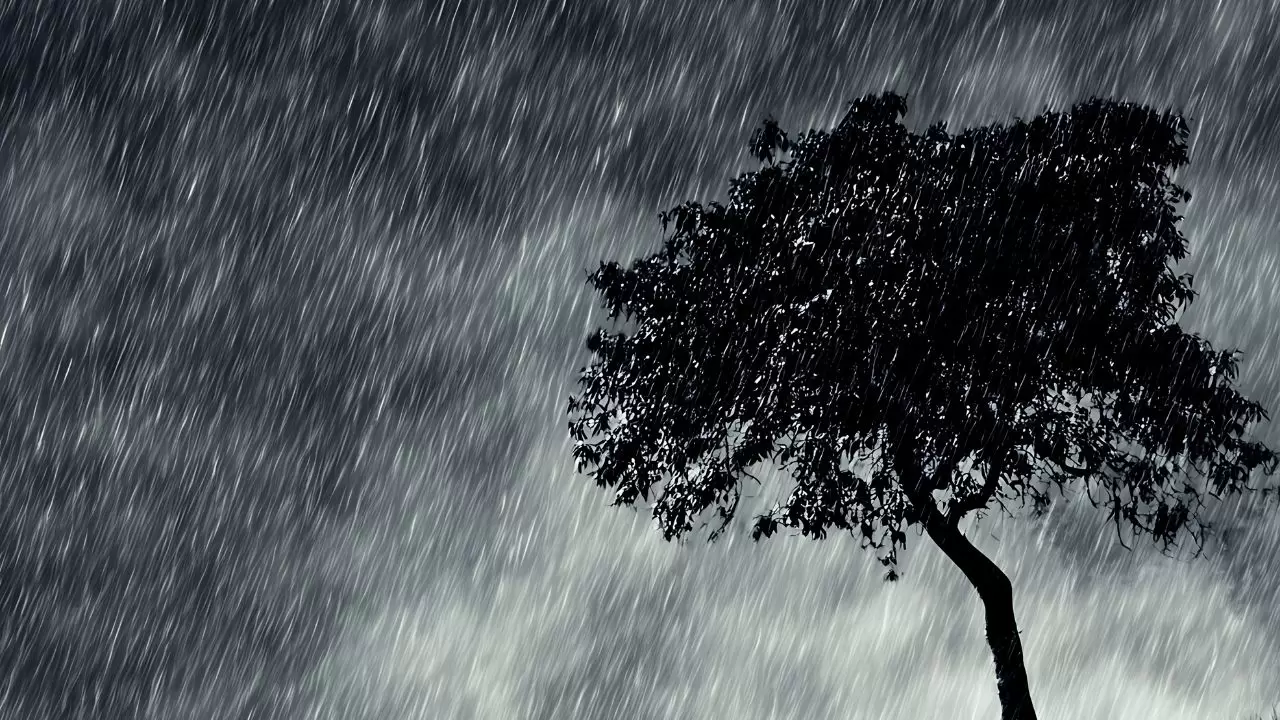 Kuvvetli yağış kapıda! Meteoroloji uyardı: Bu gece başlıyor, yarın etkisini artıracak 5