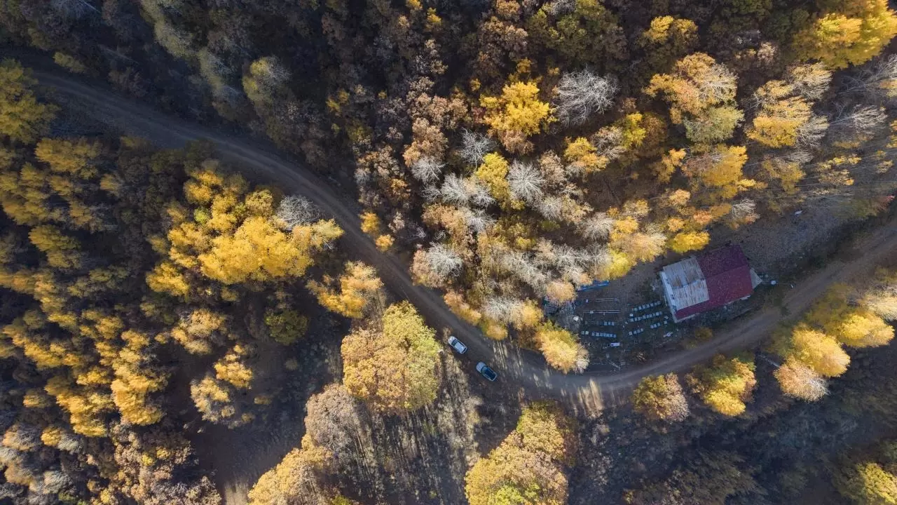 Tunceli'nin gizli cenneti: Salördek Ormanları 10