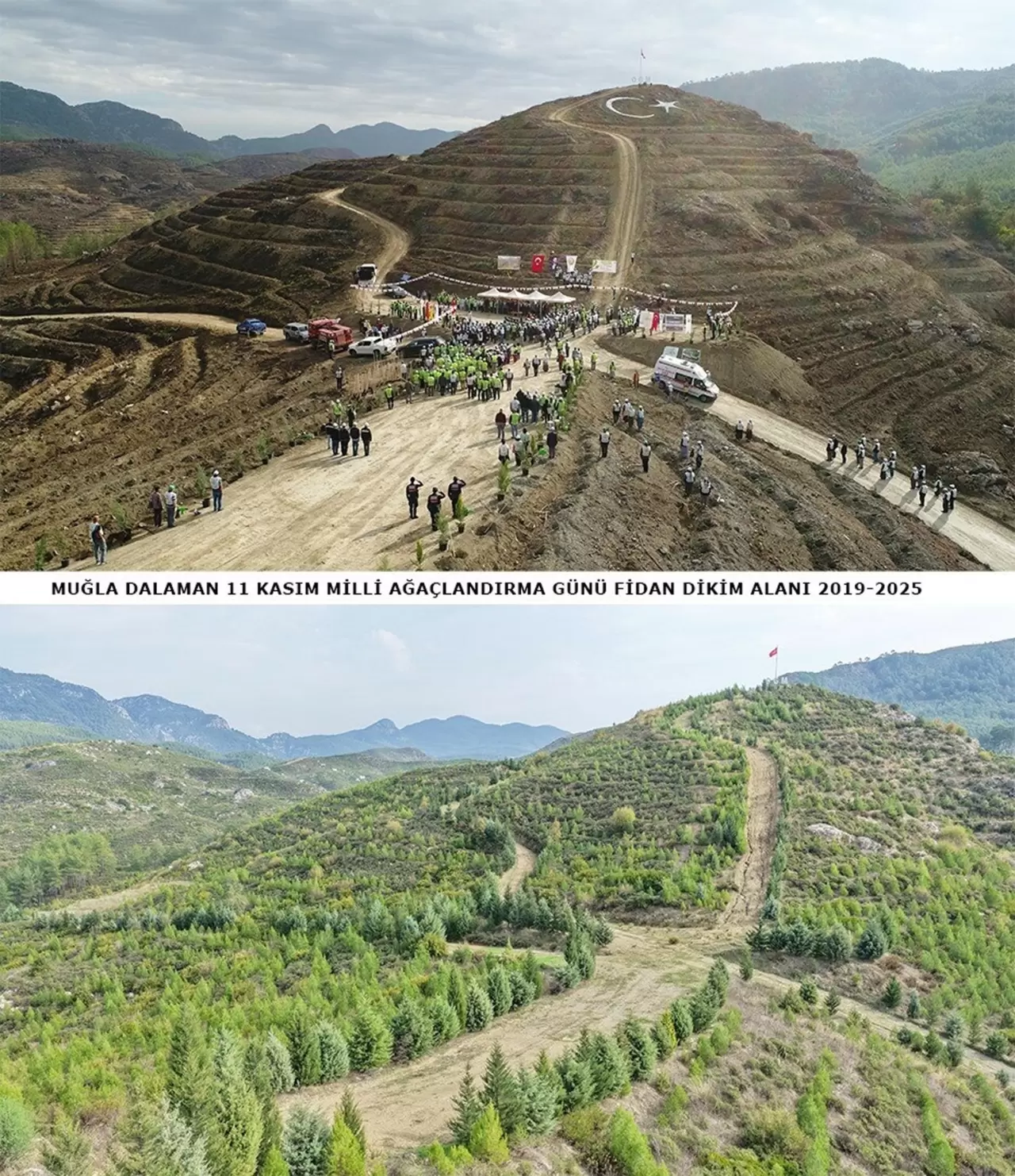 6 yıl önce dikilen fidanlar geleceğe nefes oldu 3