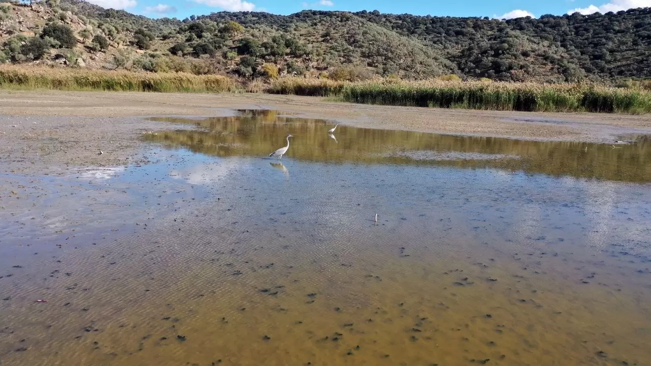 Ege’nin kartpostallık gölü kuruyor! Kuşlar ve canlılar ölümle mücadele ediyor 6