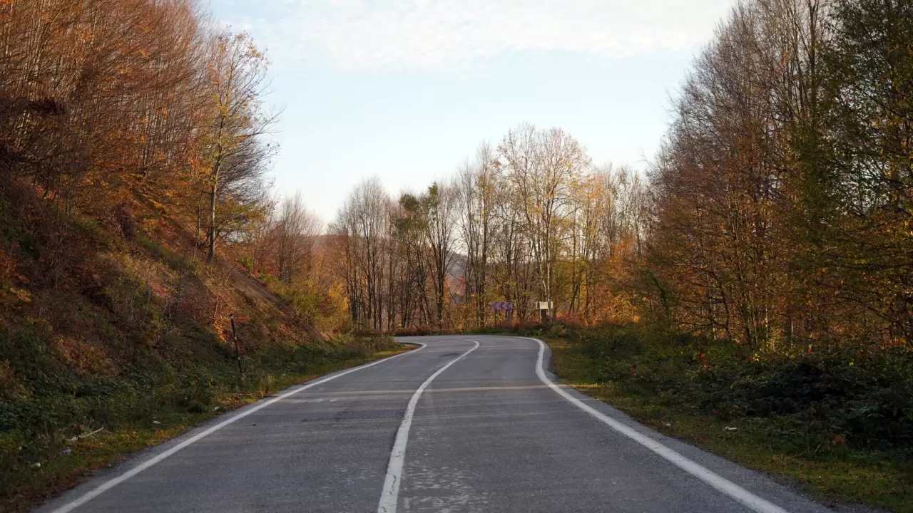 Sonbaharda Çam Dağı'nda renk cümbüşü: Doğanın görsel şöleni 9