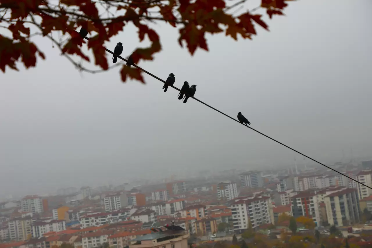 Şehir 200 metre yükseklikten neredeyse kayboldu 3