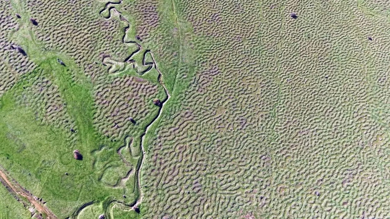 Sakarya’nın Cenneti Karagöl Yaylası: Doğal güzelliği ve benzersiz jeomorfik yapısıyla hayran bırakıyor 6