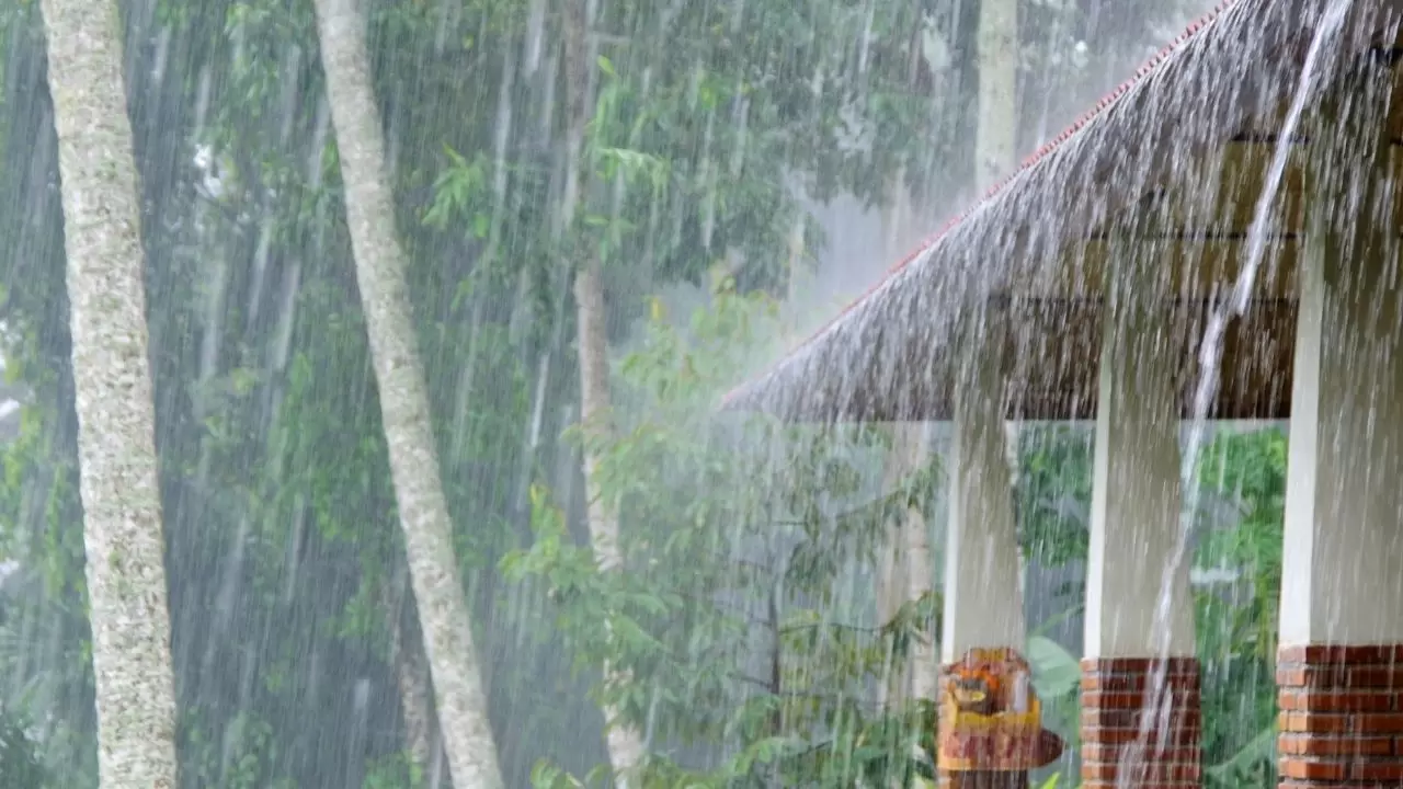 Meteoroloji’den uyarı: Birçok bölgede sağanak, sis ve pus etkili olacak 13