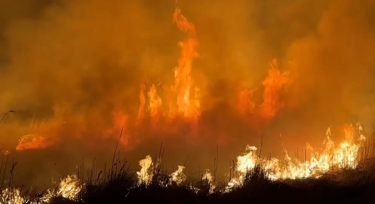 Kuş cenneti Nehil Sazlığı'nda yangın! 8