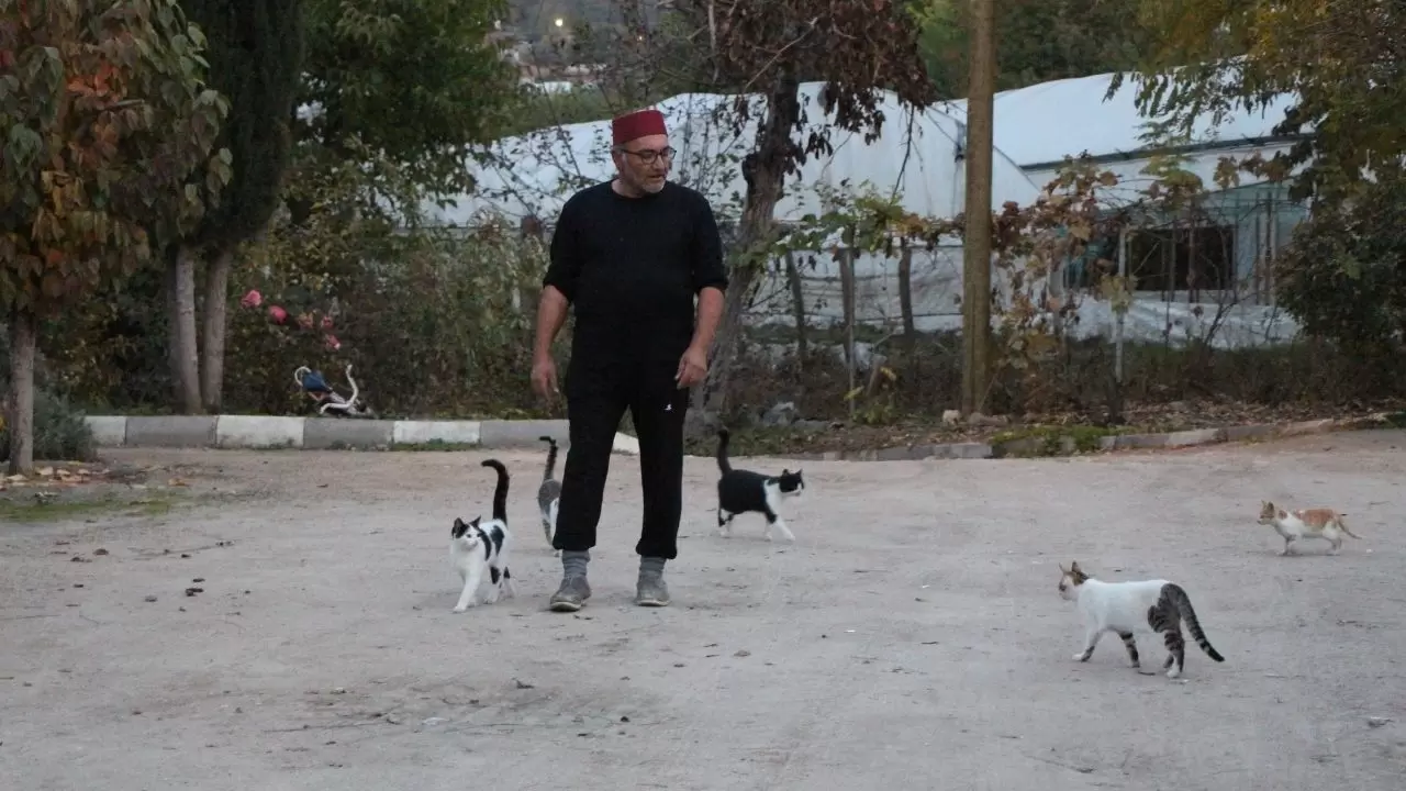 Amasya’da küs kardeşlerin tilkilere olağanüstü merhameti 5