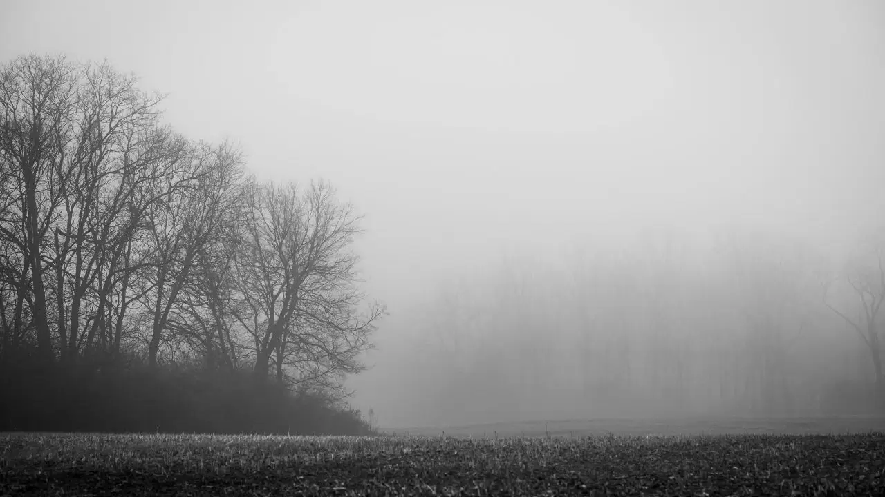 Bugün hava nasıl olacak? İşte il il hava tahmini 5