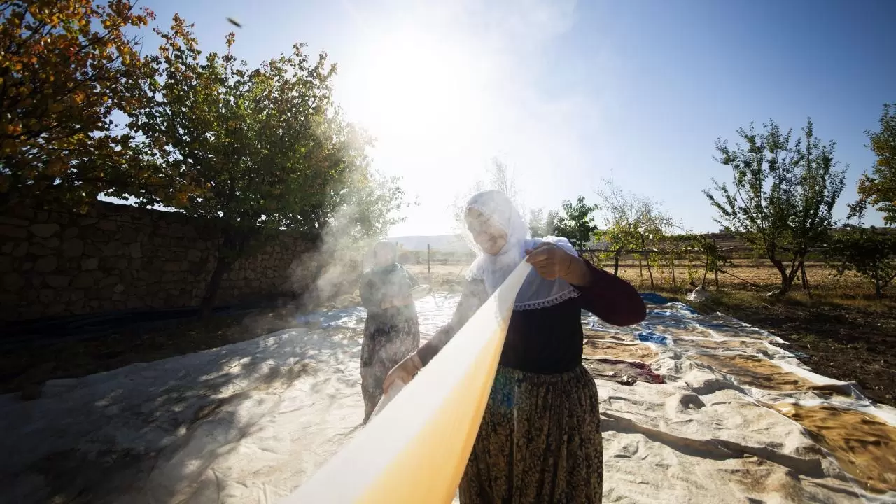 Mardin’de bağ bozumu geleneği sürüyor 7