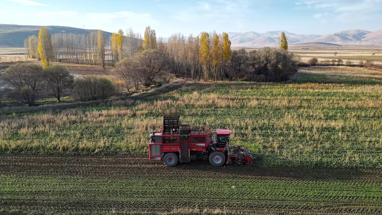 Bayburt'ta şeker pancarı üretim alanı 5 yılda 6 kat arttı 5