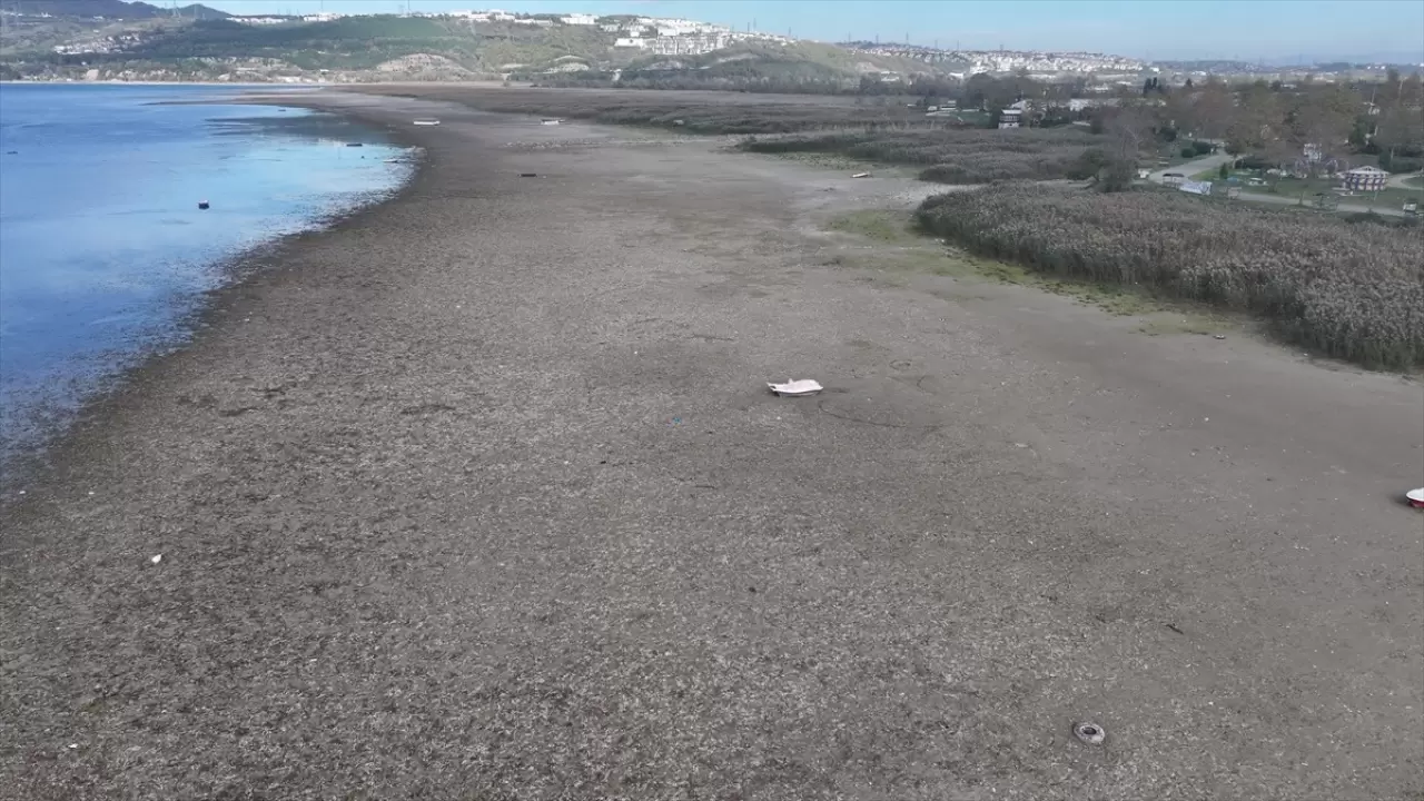 Sapanca Gölü'nde su stresini azaltmak için tedbirler artırıldı 16