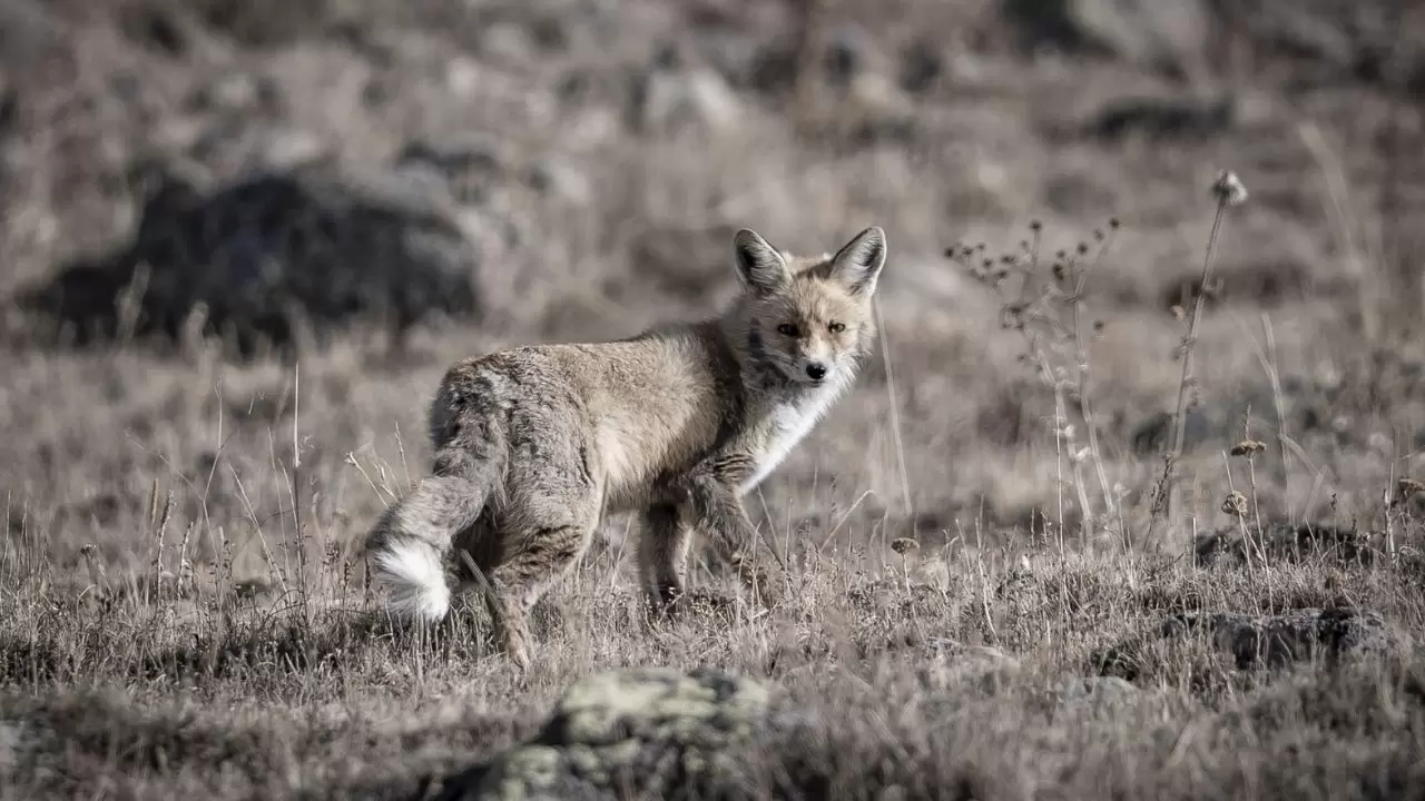 Gören döndü bir daha baktı! 5