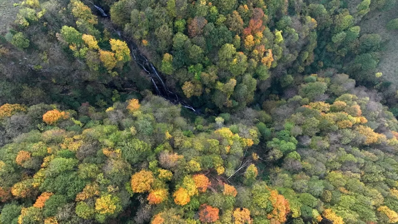 Güzeldere Şelalesi Tabiat Parkı'nda sonbahar renkleri 6