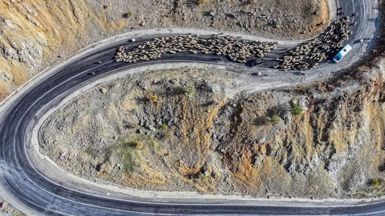 Göçerler 3 bin rakımlı yaylalardan kışlaklara dönüyor 10