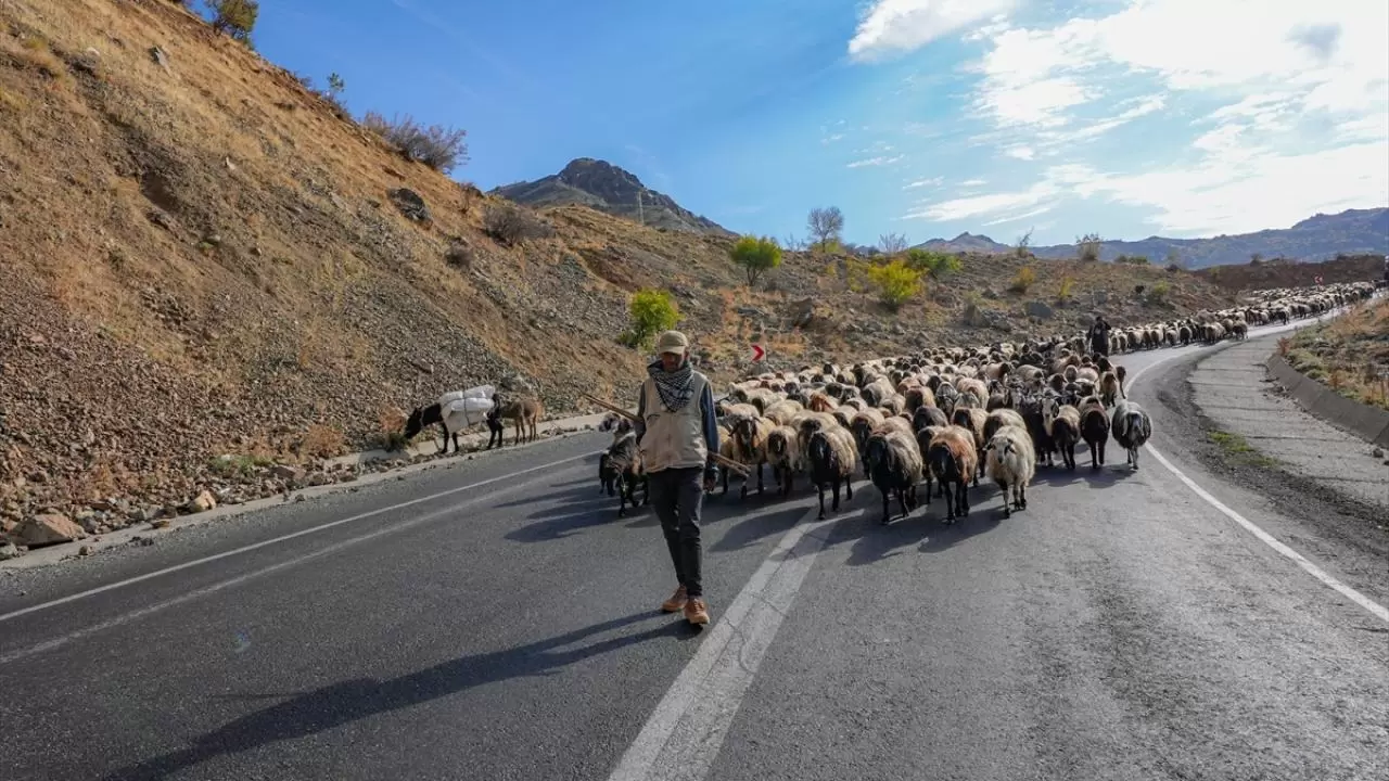 Göçerler 3 bin rakımlı yaylalardan kışlaklara dönüyor 8