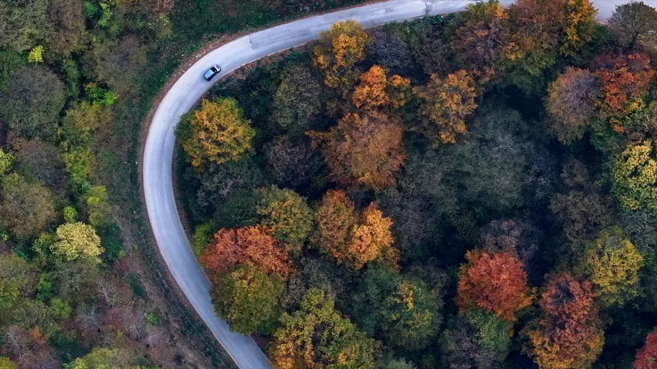 Güzeldere Şelalesi Tabiat Parkı'nda sonbahar renkleri 1