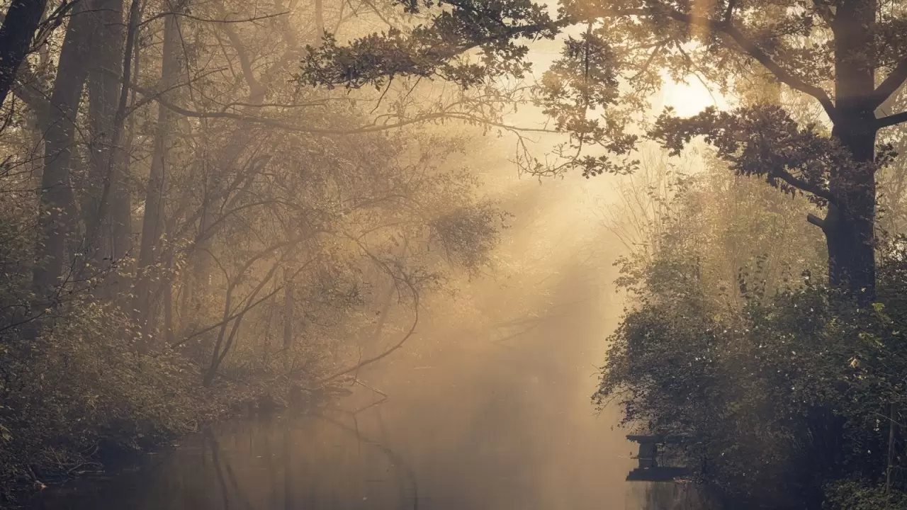 Meteoroloji’den sürpriz uyarı! Bu şehirlerde sağanak ve sis alarmı: Sıcaklıklar mevsim normallerinin üzerine çıkıyor! 9
