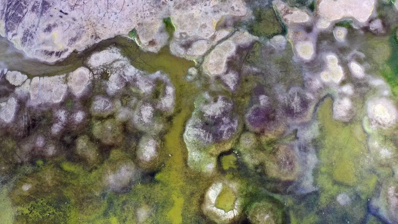 Ege’nin kartpostallık gölü kuruyor! Kuşlar ve canlılar ölümle mücadele ediyor 2