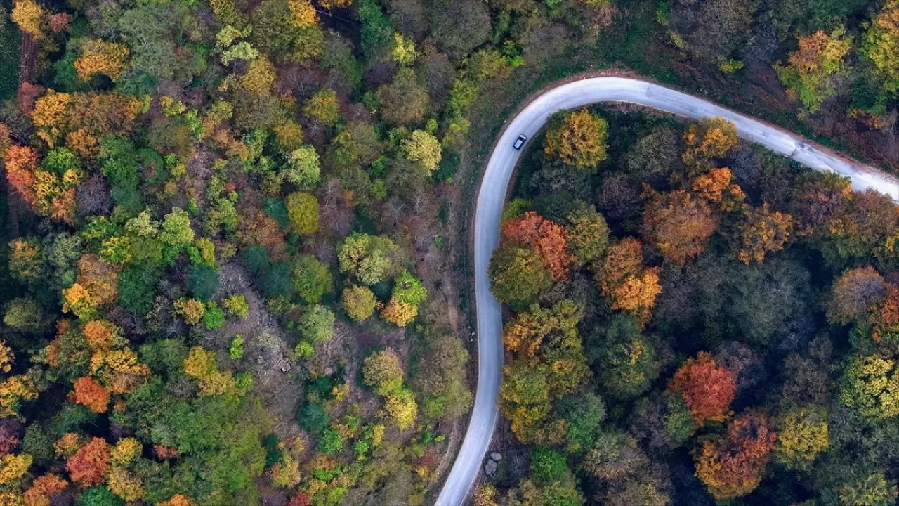 Güzeldere Şelalesi Tabiat Parkı'nda sonbahar renkleri 9