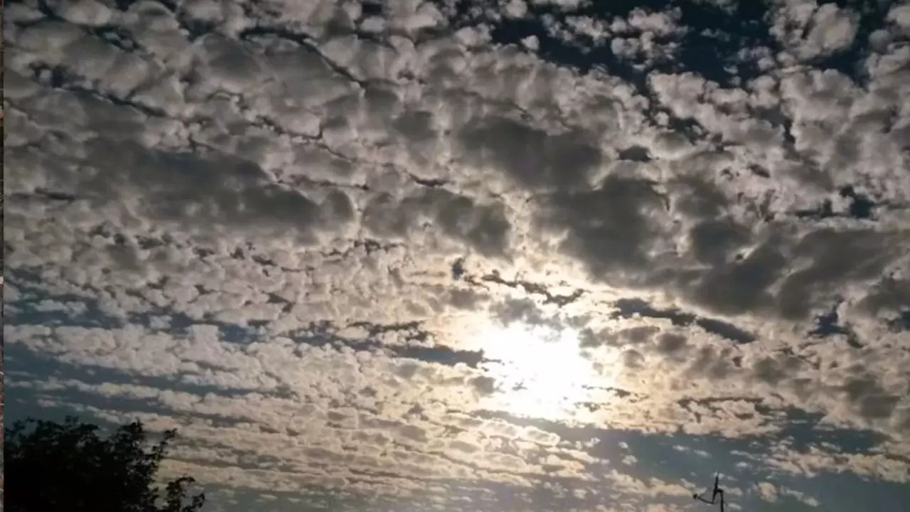 Yurt genelinde mevsim normallerinin üzerinde sıcaklık: Batıda kuvvetli rüzgar ve yer yer sağanak bekleniyor 6