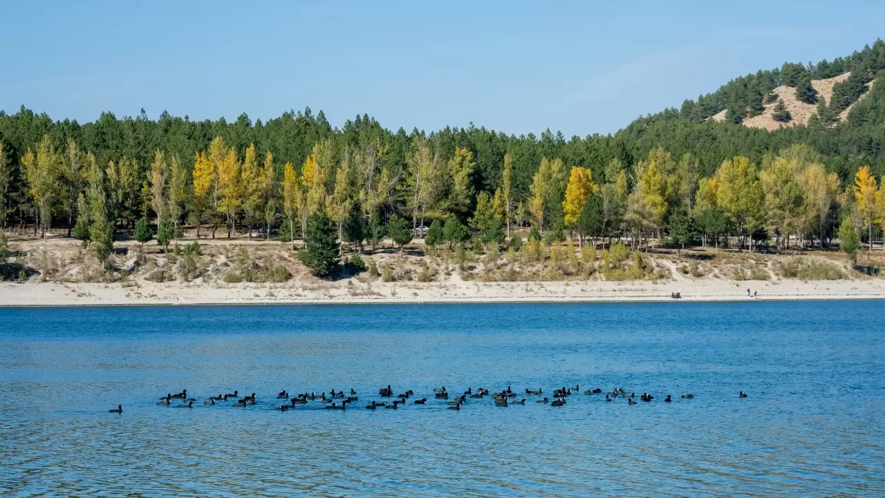 Gölcük Tabiat Parkı’nda sonbahar renk cümbüşü büyülüyor 8