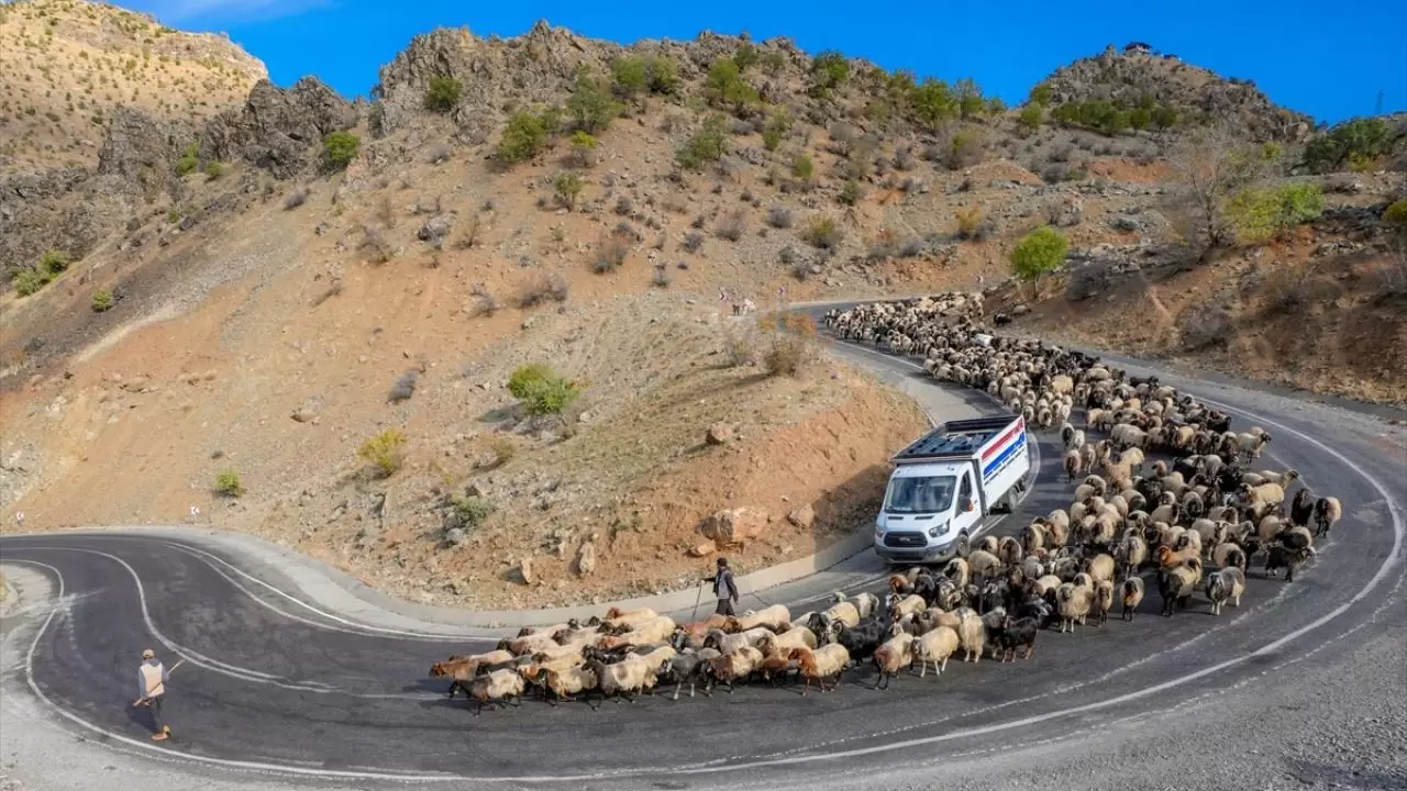 Göçerler 3 bin rakımlı yaylalardan kışlaklara dönüyor 3