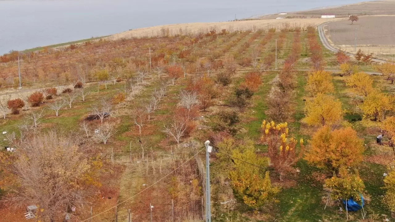 Sonbahar kartpostallık görüntüler oluşturdu! 4