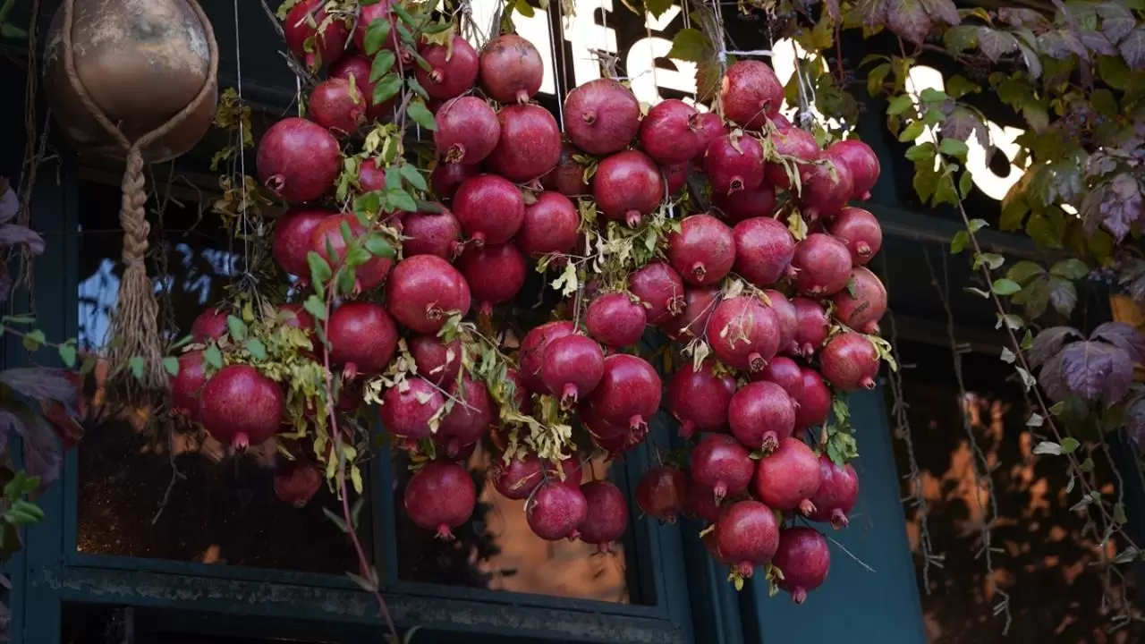 Havraman sonbahar renklerine büründü 2