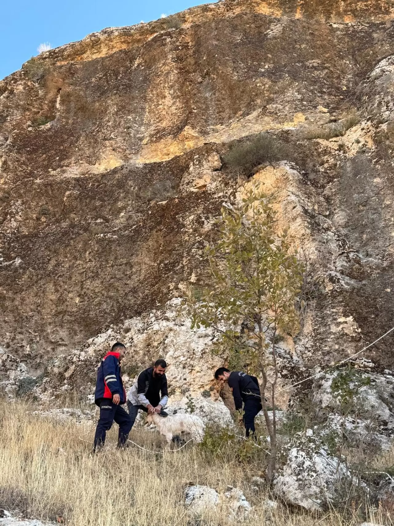 Diyarbakır'da kayalıklarda mahsur kalan 25 keçi kurtarıldı 2
