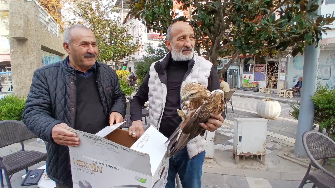 Amasya'da yaralı bulundu! 1