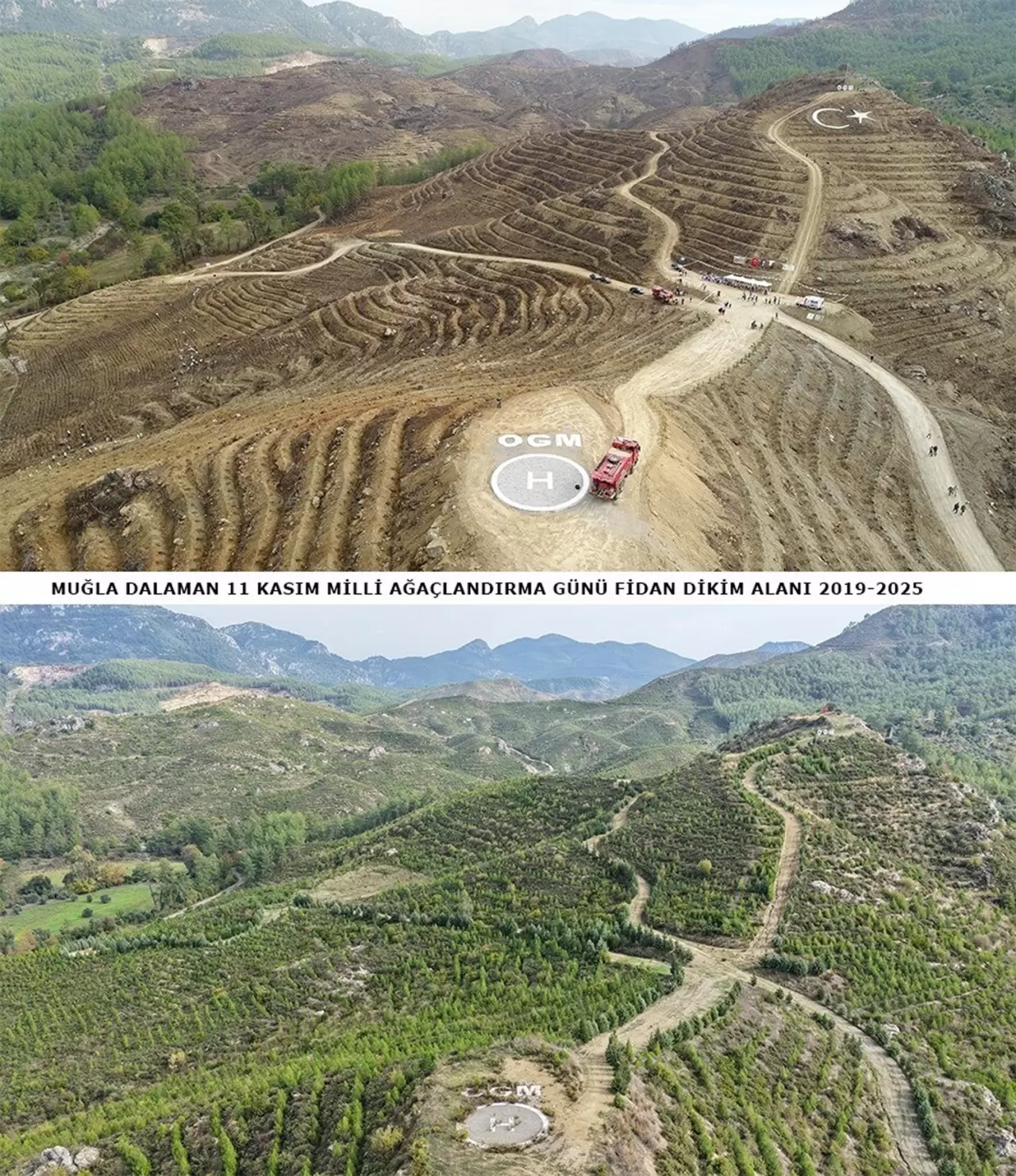 6 yıl önce dikilen fidanlar geleceğe nefes oldu 5